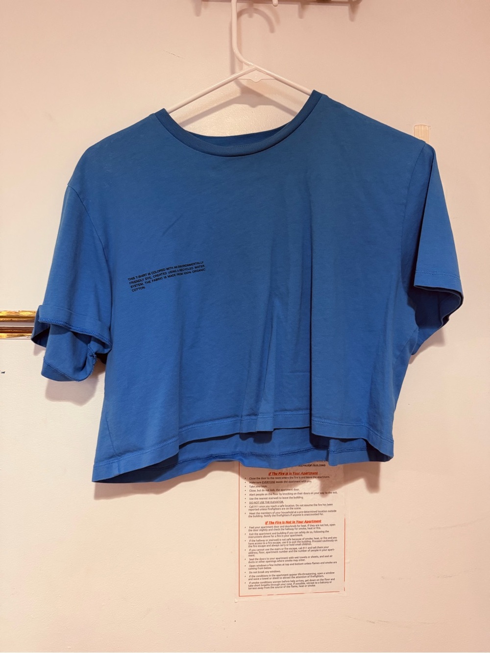 Pangaia Blue Cropped Crewneck Top - Women's